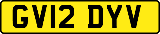 GV12DYV
