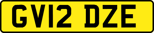 GV12DZE