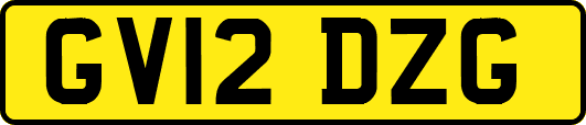 GV12DZG