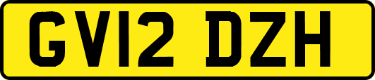 GV12DZH
