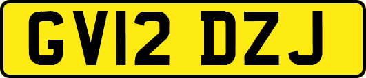 GV12DZJ