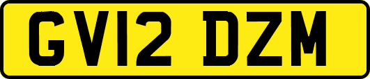 GV12DZM