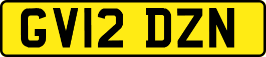 GV12DZN