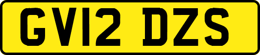 GV12DZS