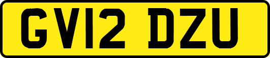 GV12DZU