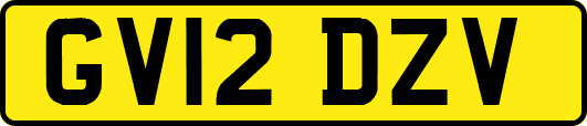 GV12DZV
