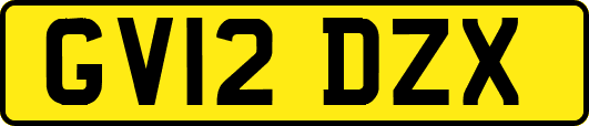 GV12DZX