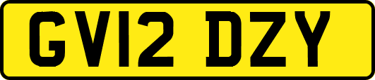 GV12DZY