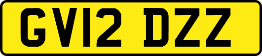 GV12DZZ