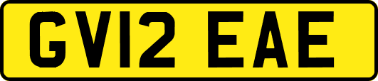 GV12EAE