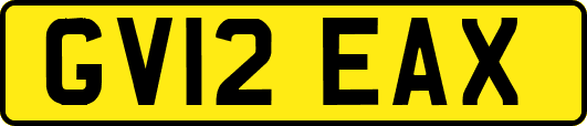 GV12EAX