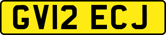 GV12ECJ