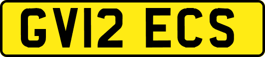 GV12ECS