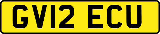 GV12ECU