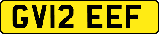 GV12EEF