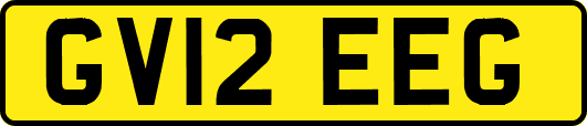 GV12EEG