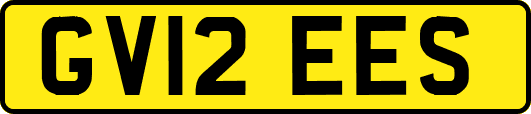 GV12EES