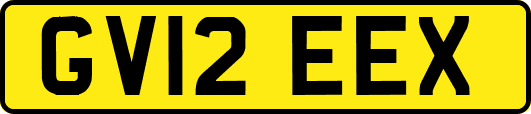 GV12EEX