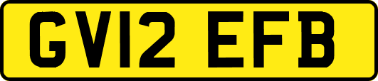 GV12EFB