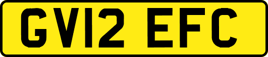 GV12EFC