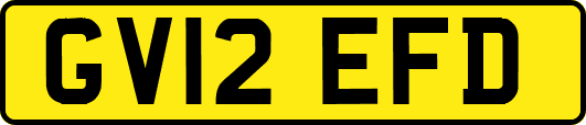 GV12EFD