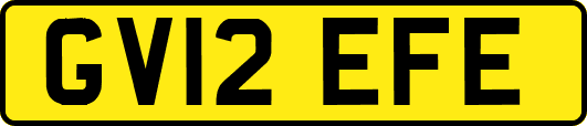 GV12EFE
