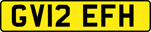 GV12EFH