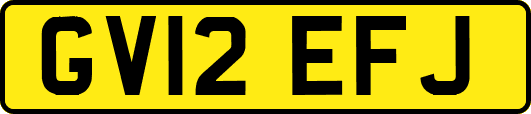 GV12EFJ