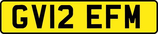 GV12EFM
