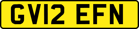 GV12EFN