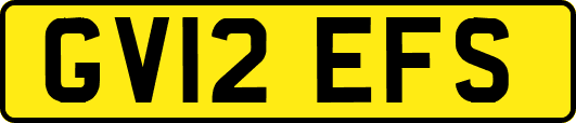 GV12EFS
