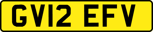 GV12EFV
