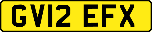 GV12EFX