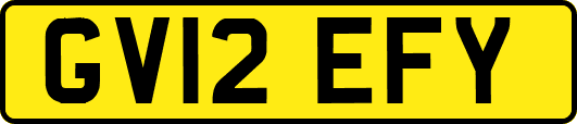 GV12EFY