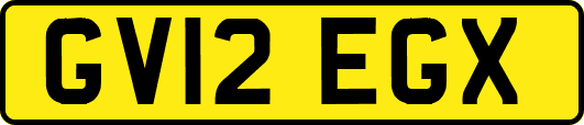 GV12EGX
