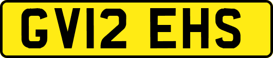 GV12EHS