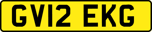 GV12EKG