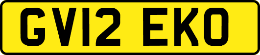 GV12EKO