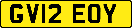 GV12EOY