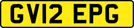 GV12EPG