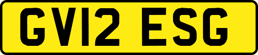 GV12ESG