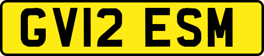 GV12ESM