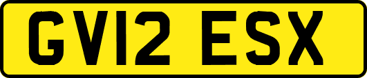 GV12ESX