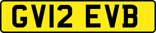 GV12EVB