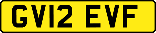 GV12EVF