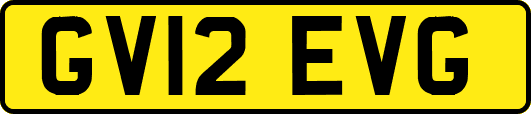 GV12EVG