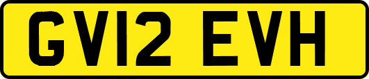 GV12EVH