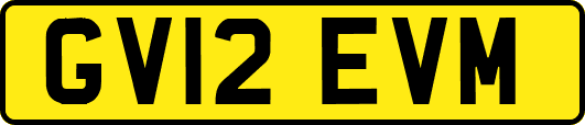GV12EVM