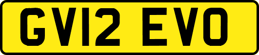 GV12EVO