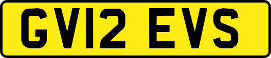 GV12EVS
